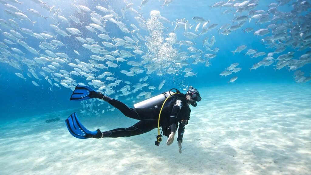Why Are Dive Centers In Phuket People’s Go-To Choice?
