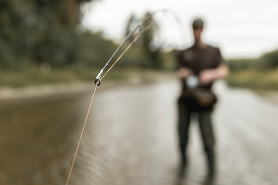 Discover Yellowstone and Montana’s Fly Fishing Opportunities with Expert Guidance